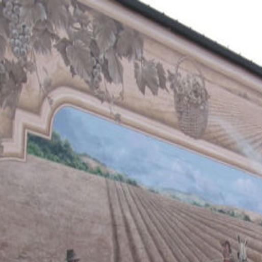 Giant Mural Completed In Arroyo Grande Village Local News