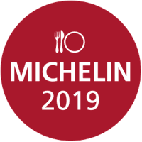 Michelin plate sales