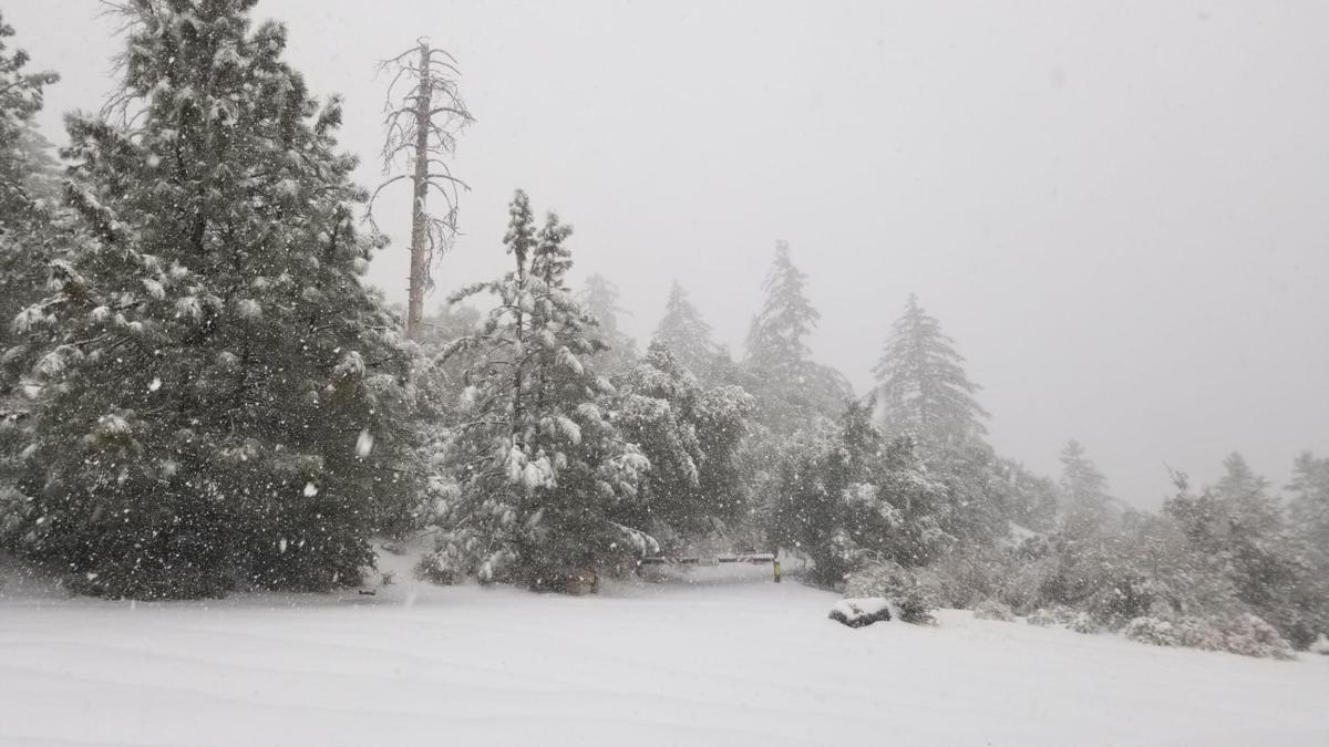 5febdbdfb17c6.image.jpg?resize=1200,675