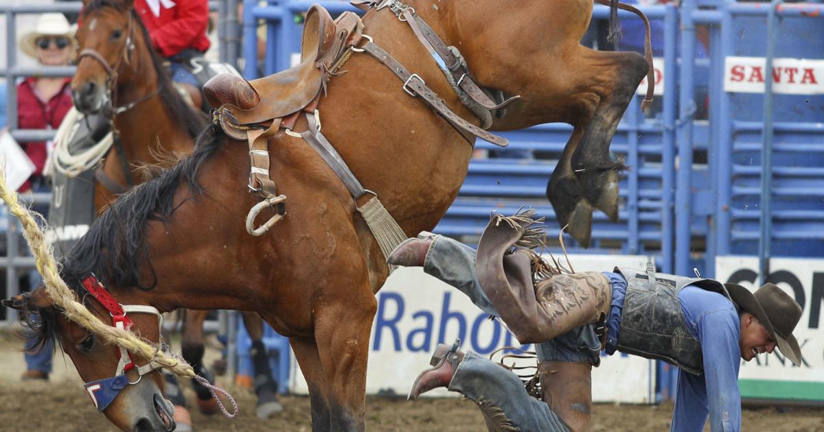 Elks Rodeo wouldn't be the same without 'Trelauney' | Heart of the ...