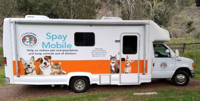 clinic mobile 4paws rolls santamariatimes expands throughout county services