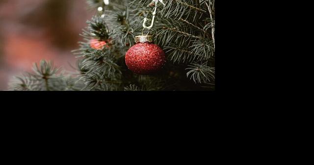 Curbside collection of Christmas trees in Santa Maria starts Jan. 8 - Vimarsana News
