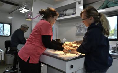 Valentine’s Pet Wellness, Adoption Day planned in Santa ...