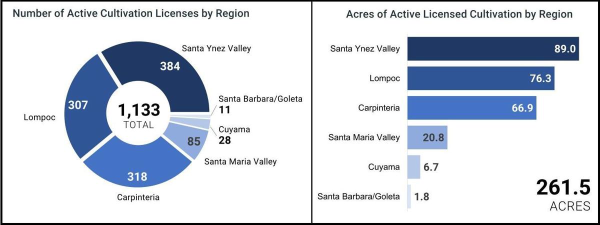 Santa Barbara County state licenses, cultivation by region