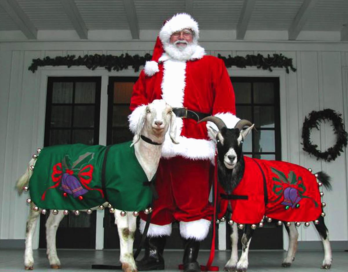 Holiday at the Ranch