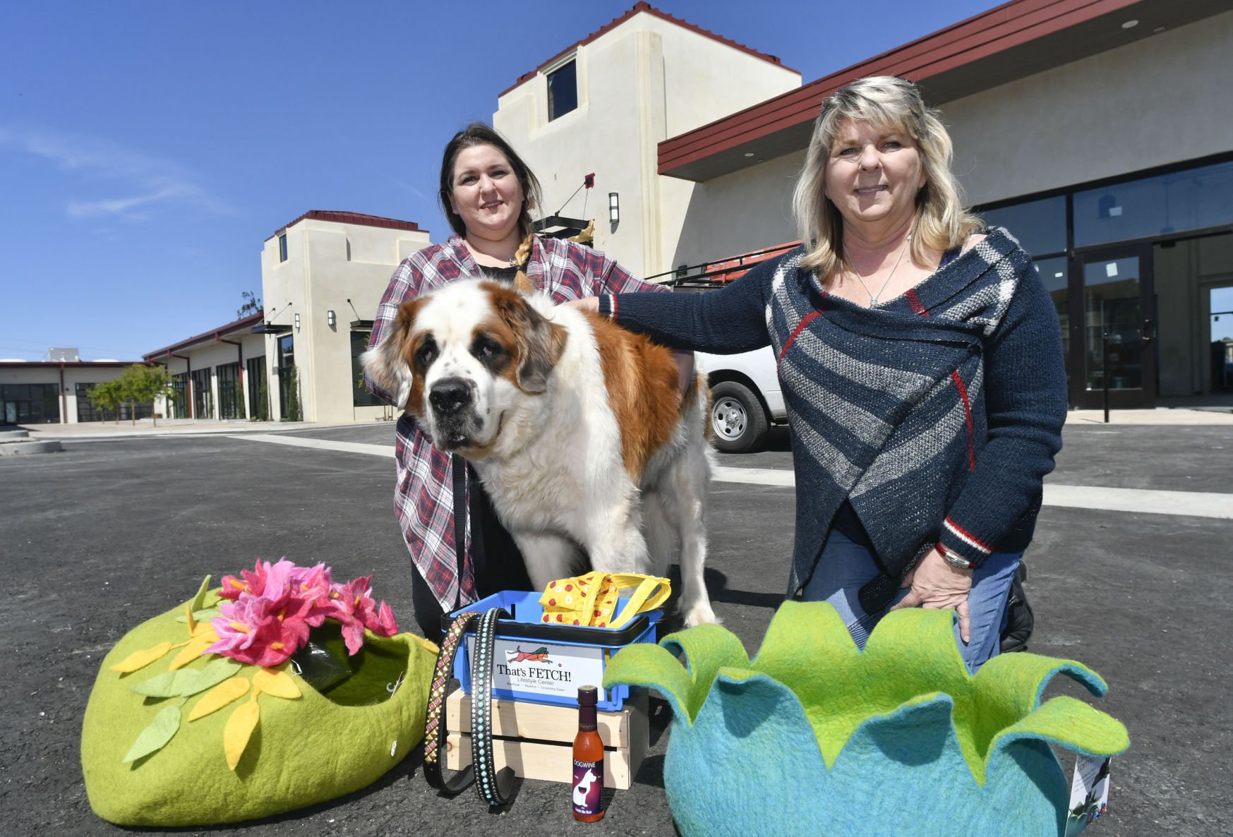 fetch dog spa