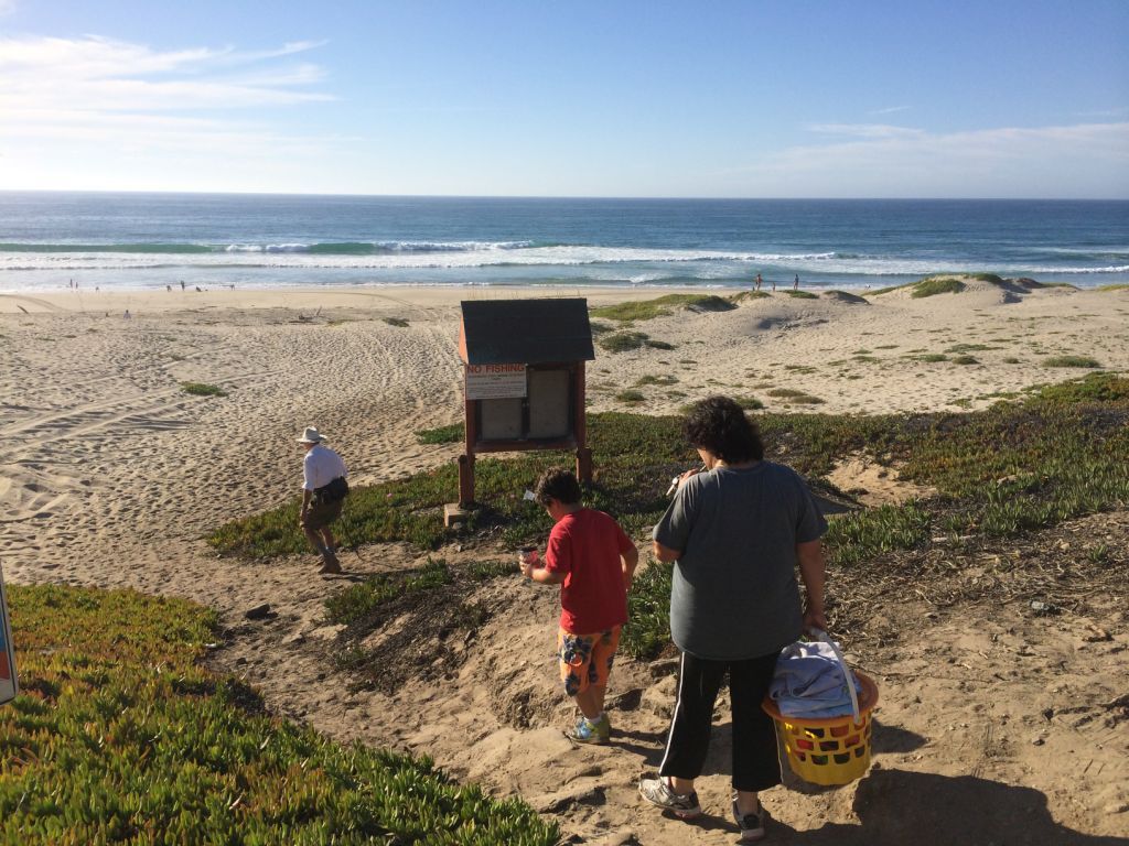 Beaches Reopen After 3 Reported Shark S Local 100514 Surf Beach Open Jpg Copy