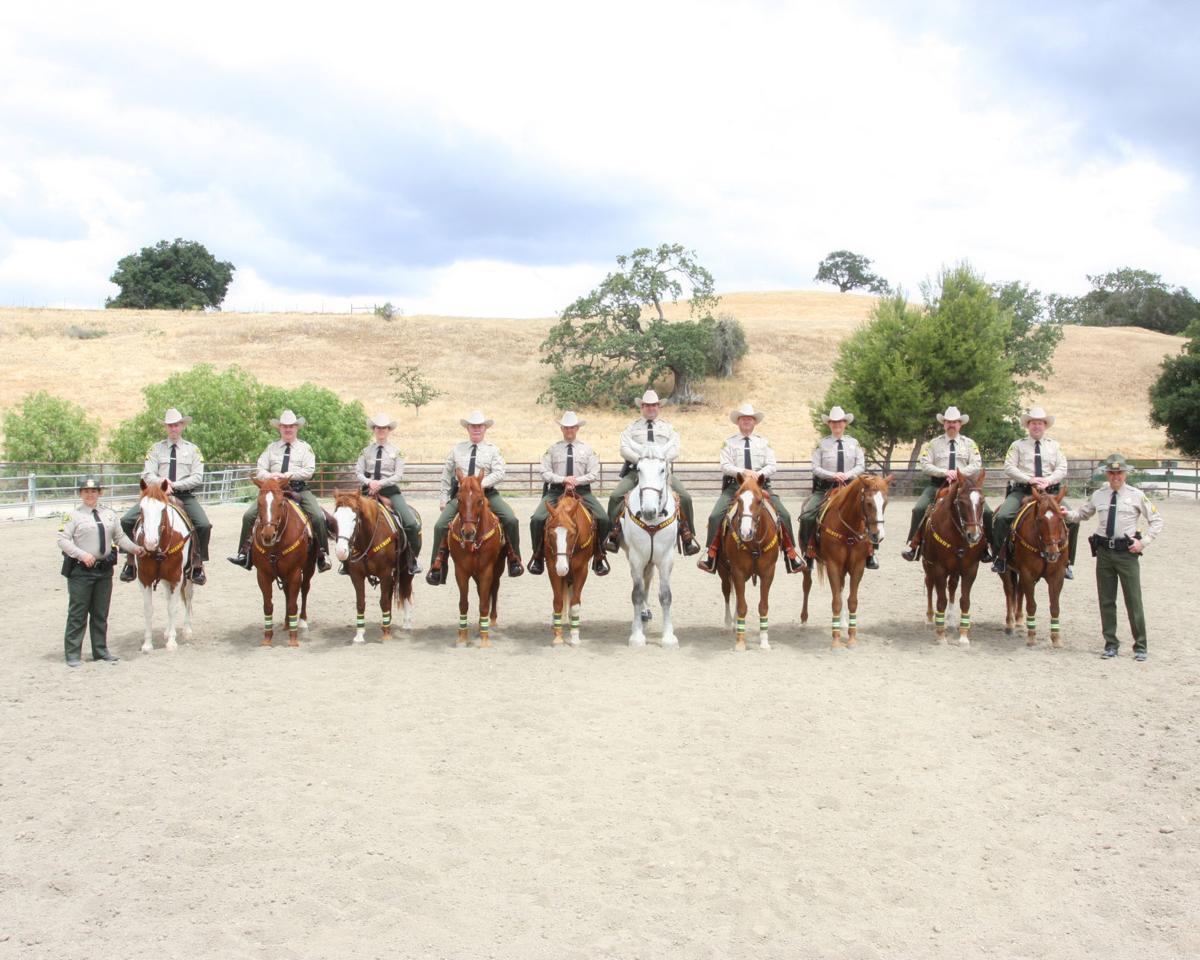 Sheriff's Mounted Enforcement Unit to ride in 128th annual Rose Parade