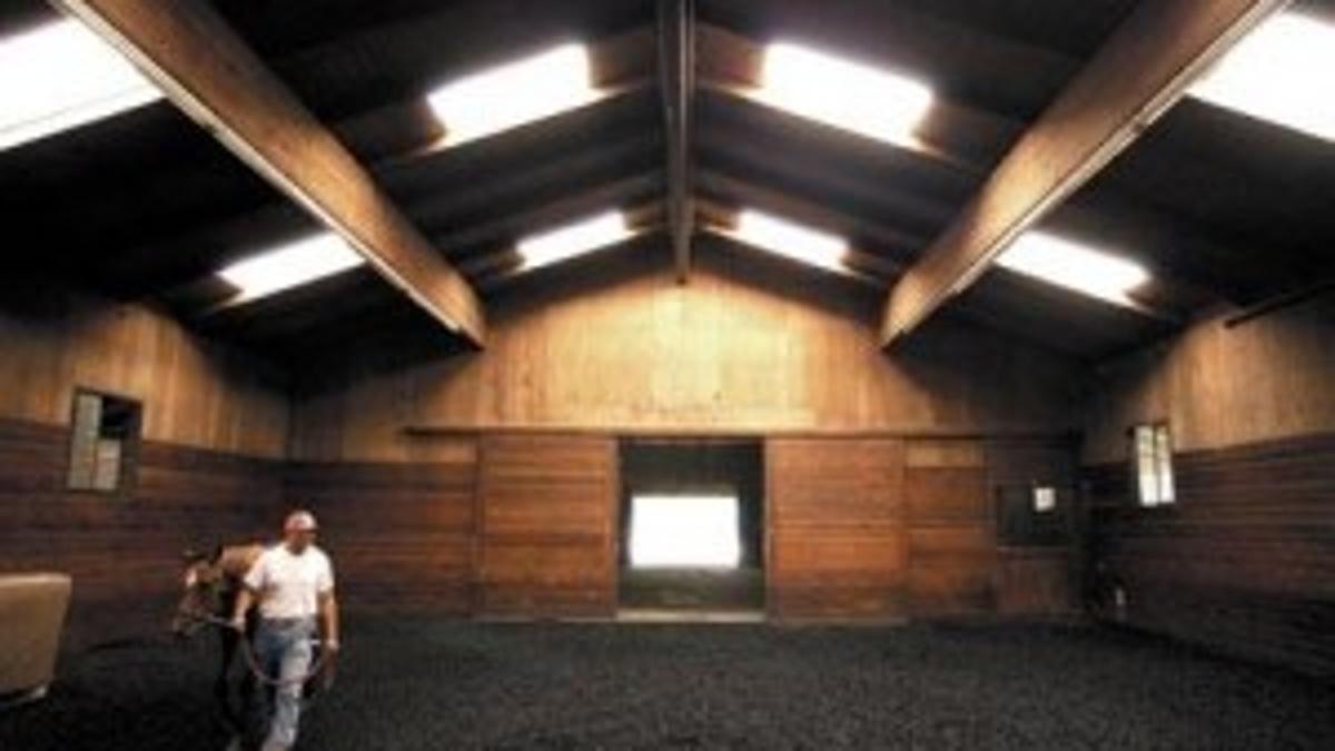 Race Horses And The Santa Ynez Valley Local News Santamariatimes Com