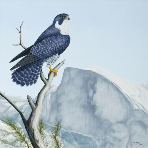 123019 Wildling Museum