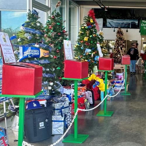 Altrusa clubs raffling ‘magical’ trees to support literacy
