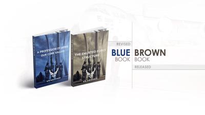 Brown/Blue Book