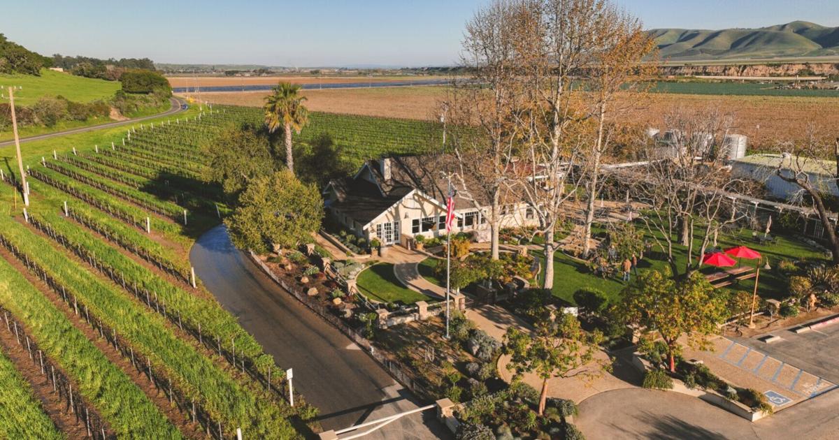 Riverbench Vineyard and Winery celebrates 50 years in the Santa Maria ...
