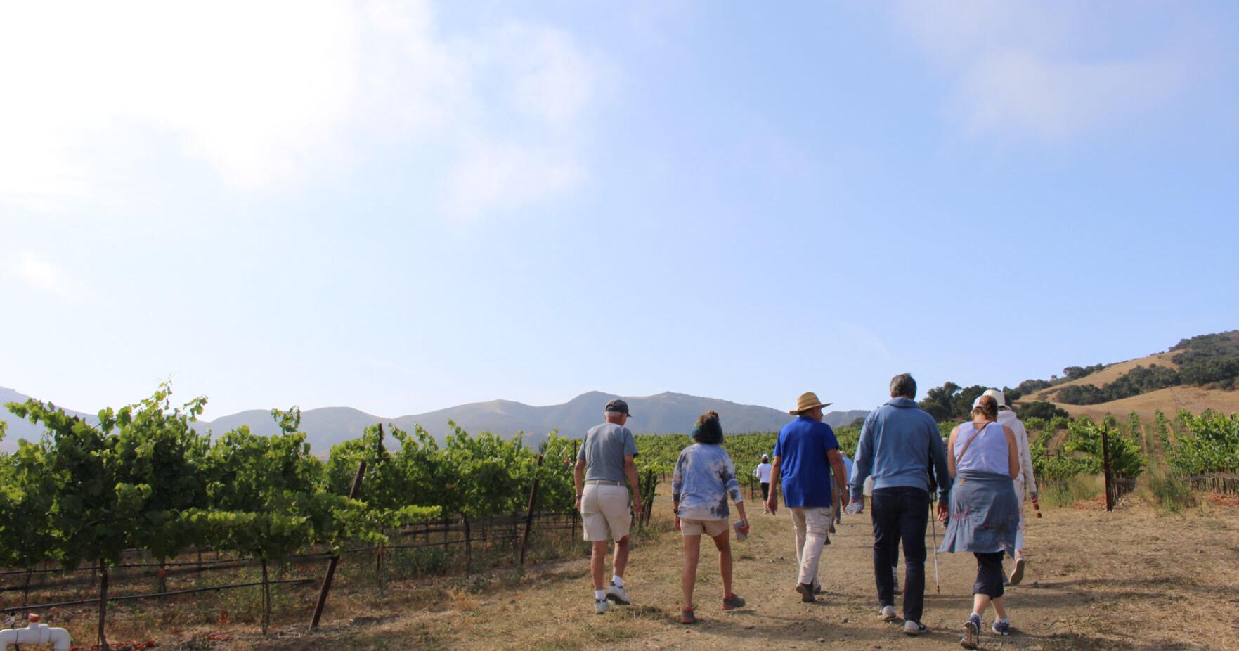 Alma Rosa Winery's fundraising walk raises $200K for mental health awareness - Vimarsana News