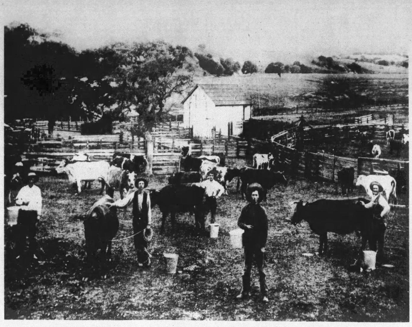 Judith Dale Historic rancho land grants of California Lifestyles