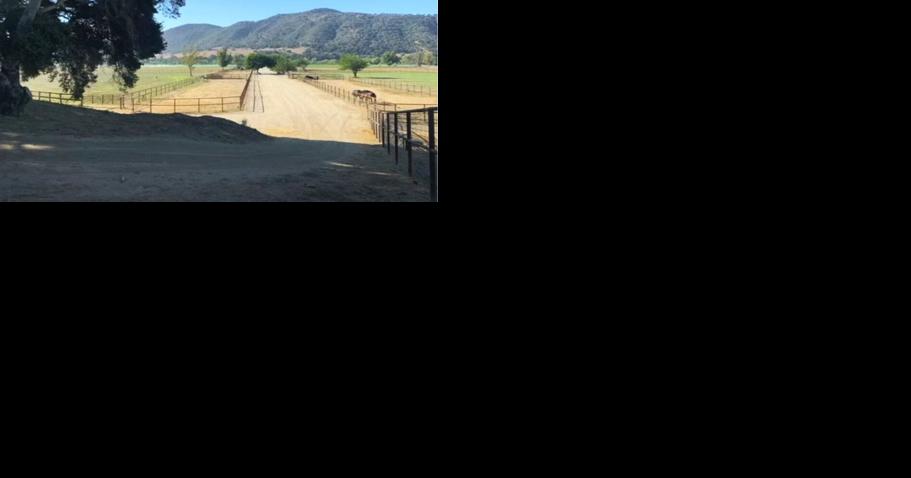 Santa Ynez Valley equestrian facility decision put on hold to eliminate weddings - Vimarsana News