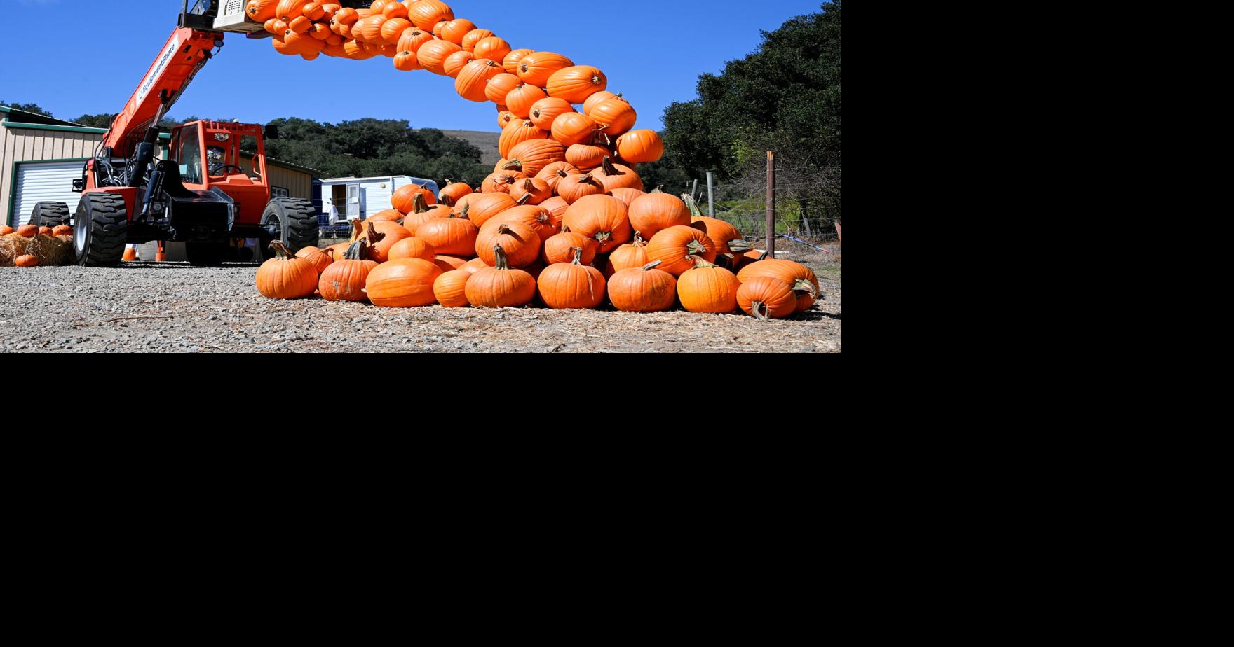 Discovery Day coming to Los Flores Ranch this Saturday | Lifestyles ...