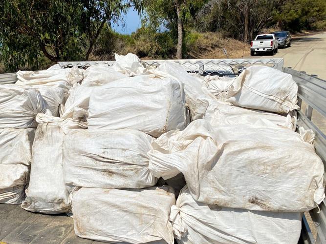 3,100 pounds of meth seized, 33 arrested; largest drug bust in county ...