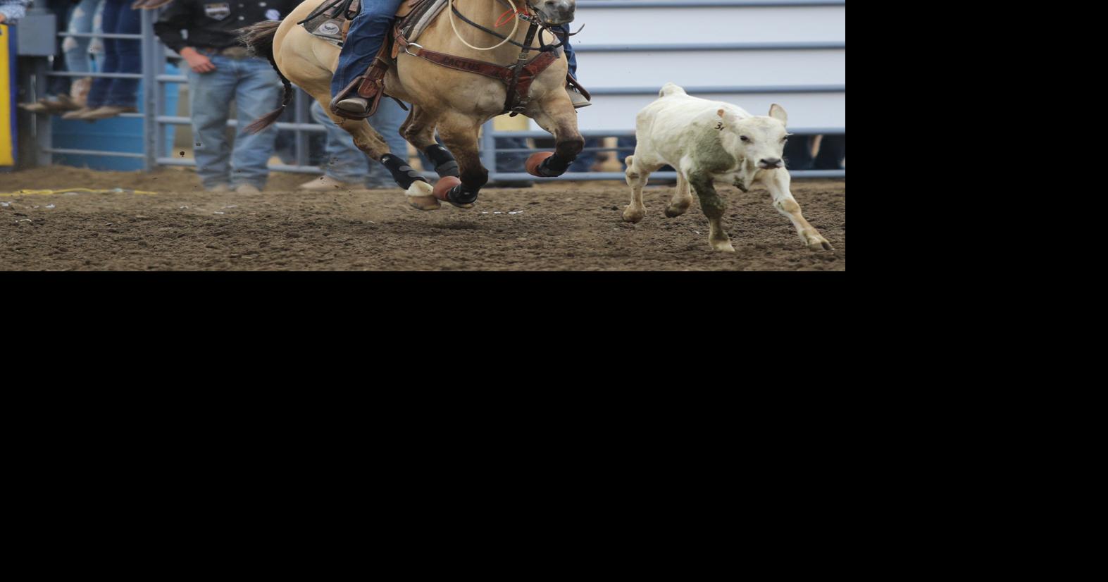 Santa Maria Elks Rodeo rolling out full slate of events, with some ...