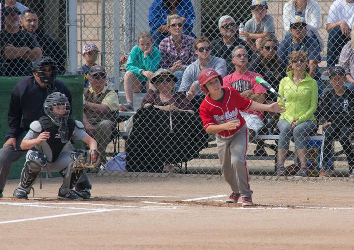 Hanford baseball continues hot start to season, Local Sports