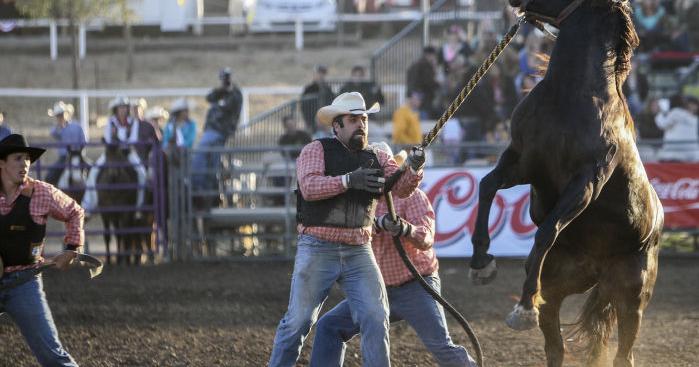 Xtreme Bronc Riding electrifies crowd | Rodeo | santamariatimes.com