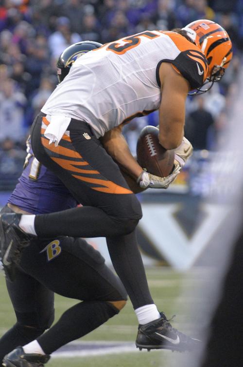 Cincinnati Bengals tight end Tyler Eifert makes a reception ahead of Baltimore Ravens linebacker Daryl Smith in Baltimore on November 10, 2013.