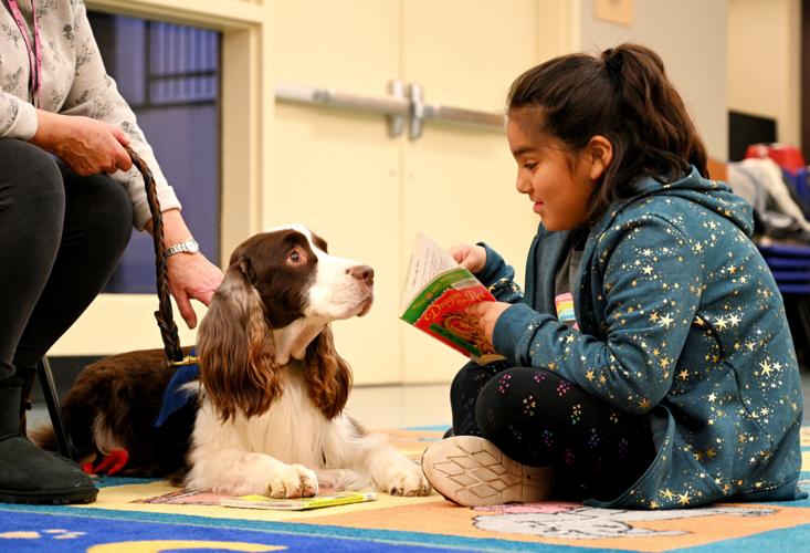 More 'Paws to Read' sessions set for January and February at Santa