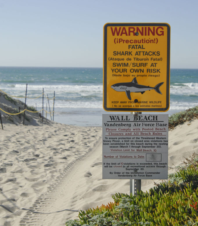 Caution: Swim At Your Own Risk Keep Away From Marine Wildlife