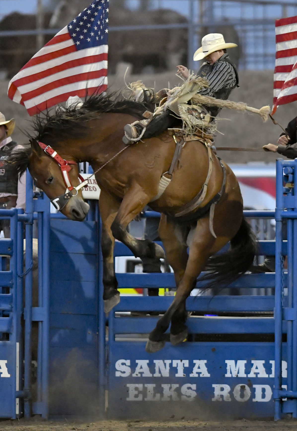 Photos: Thursday night at the Elks Rodeo in Santa Maria | Local