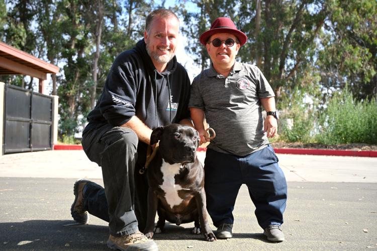 Central Coast Bully Show