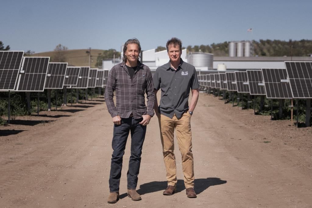 Firestone Walker Solar Array