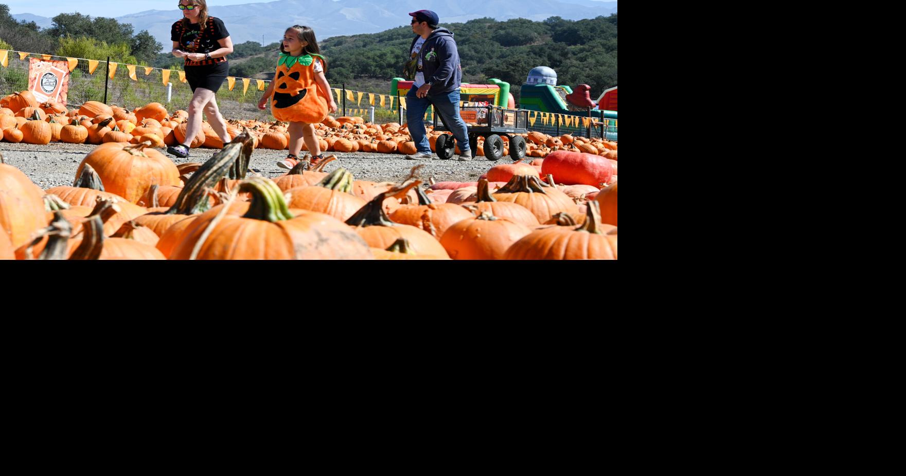 The Patch holds opening weekend at Los Flores Ranch Park in Santa Maria ...