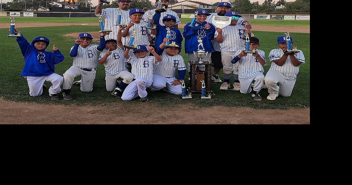 Little League: Westside Dodgers claim Valley title in Minors