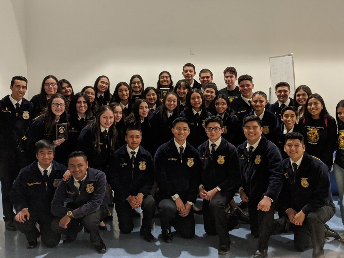 ffa2020sectionals.jpeg