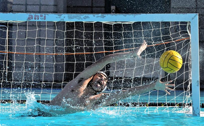 All League Nipomo S Dimodica St Joseph S Galanski Earn Top Honors In Water Polo Local Sports Santamariatimes Com
