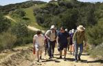 Judith Dale: Los Padres National Forest in your backyard