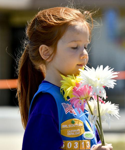 062417 Lompoc Flower Fest 15.jpg (copy)