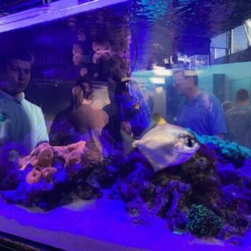 Cabrillo High Aquarium Open House on Wednesday to showcase special student projects - Vimarsana News