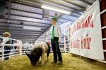 4-H ambassadors take the lead | Braeden Rappozo
