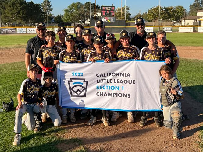 California advances to Little League World Series championship