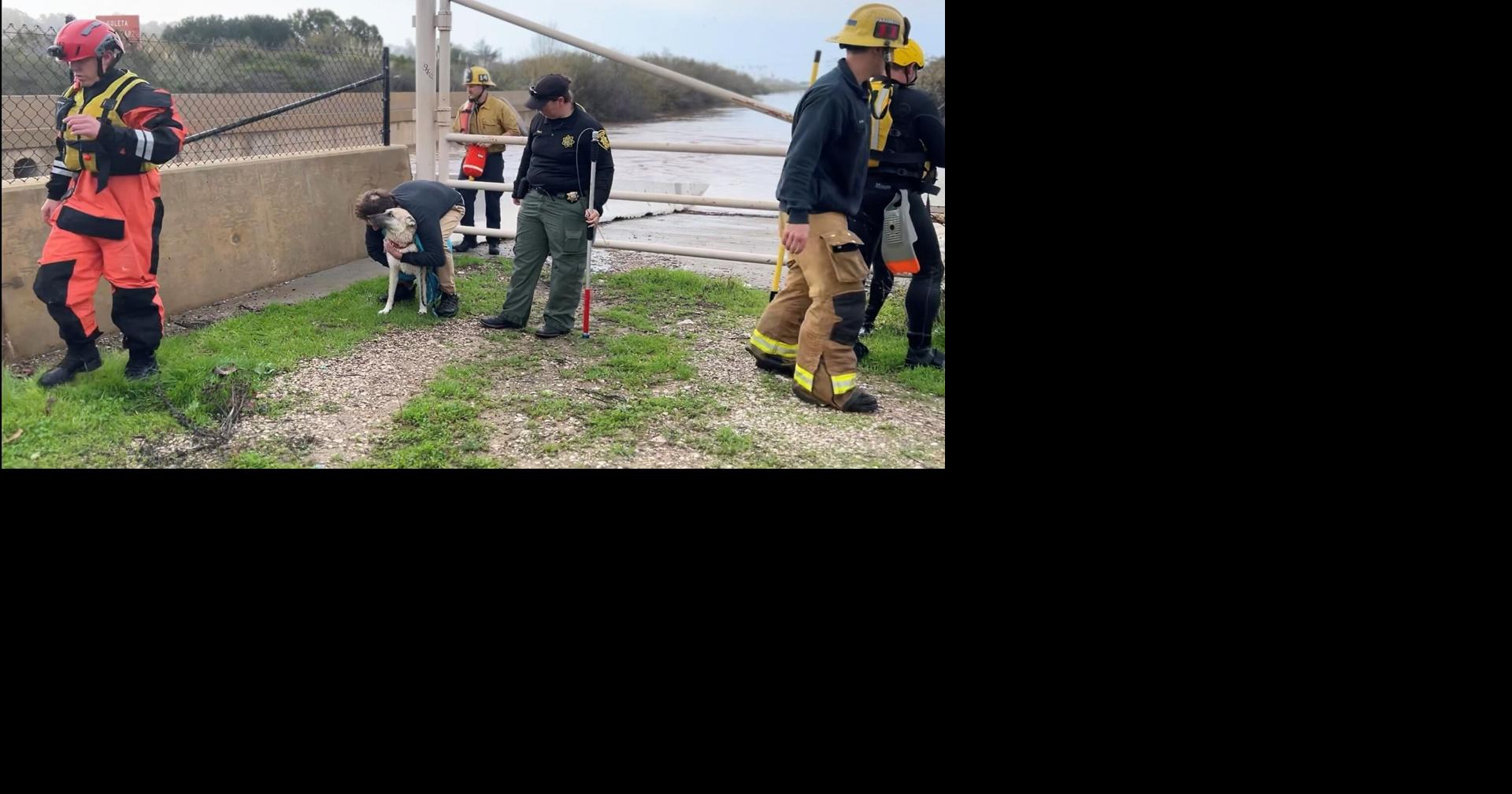 Santa Barbara County Fire personnel rescue two dogs from creek | Local ...