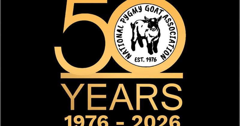National Pygmy Goat Association Celebrates 50th Anniversary with National Pygmy Goat Day on April 23rd