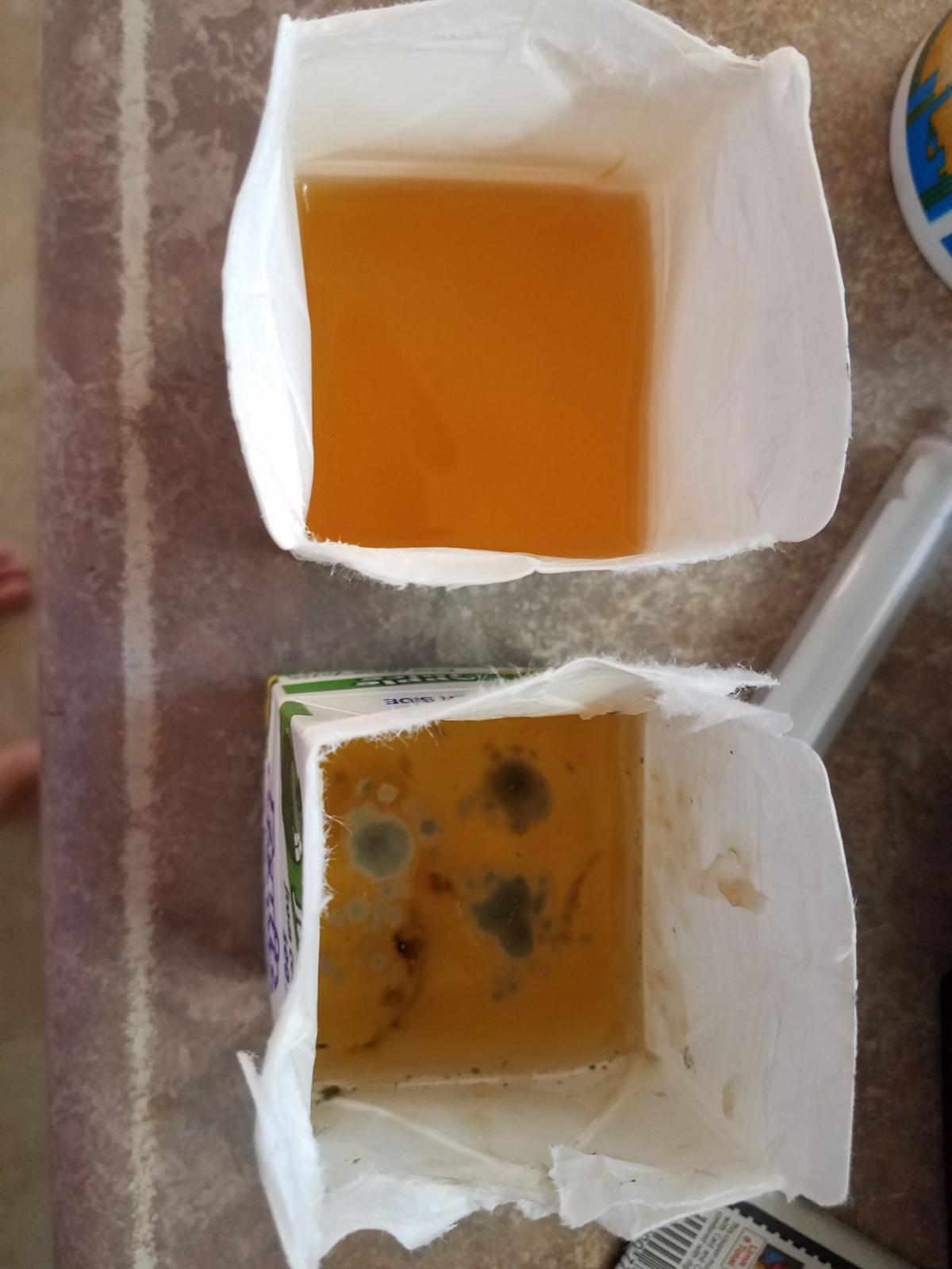 Pine Grove Elementary reportedly served moldy apple juice Local News