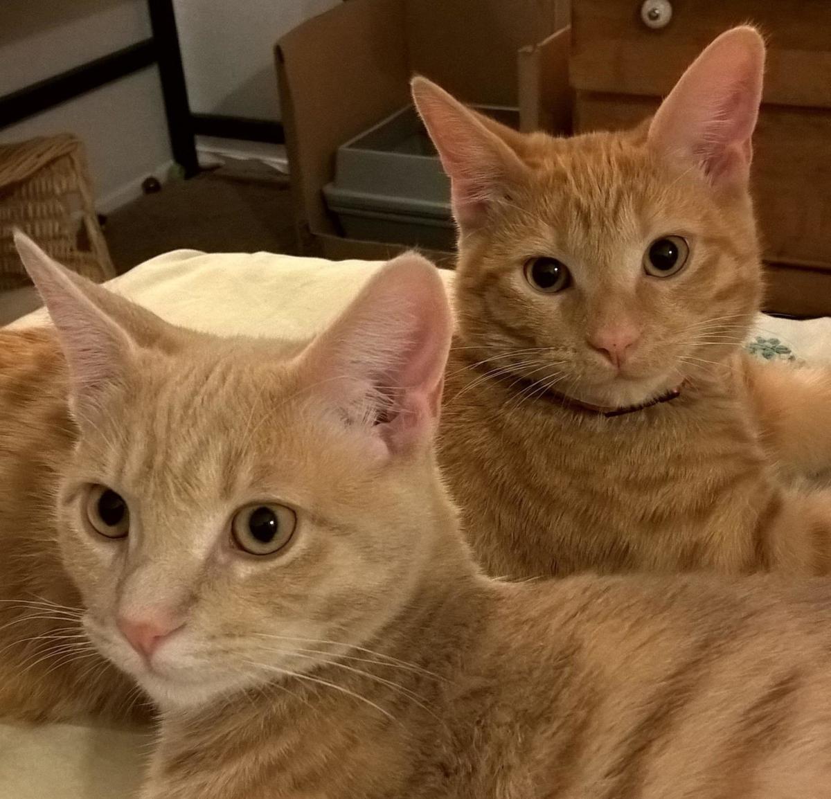 Stan and Jack