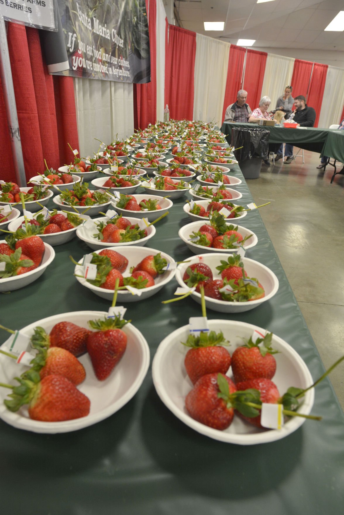 'A Jammin' Good Time' Santa Maria Strawberry Festival 2017 to kick off