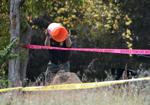San Luis Obispo County Sheriff personnel continue to search the home of Ruben Flores in Arroyo Grande Tuesday.