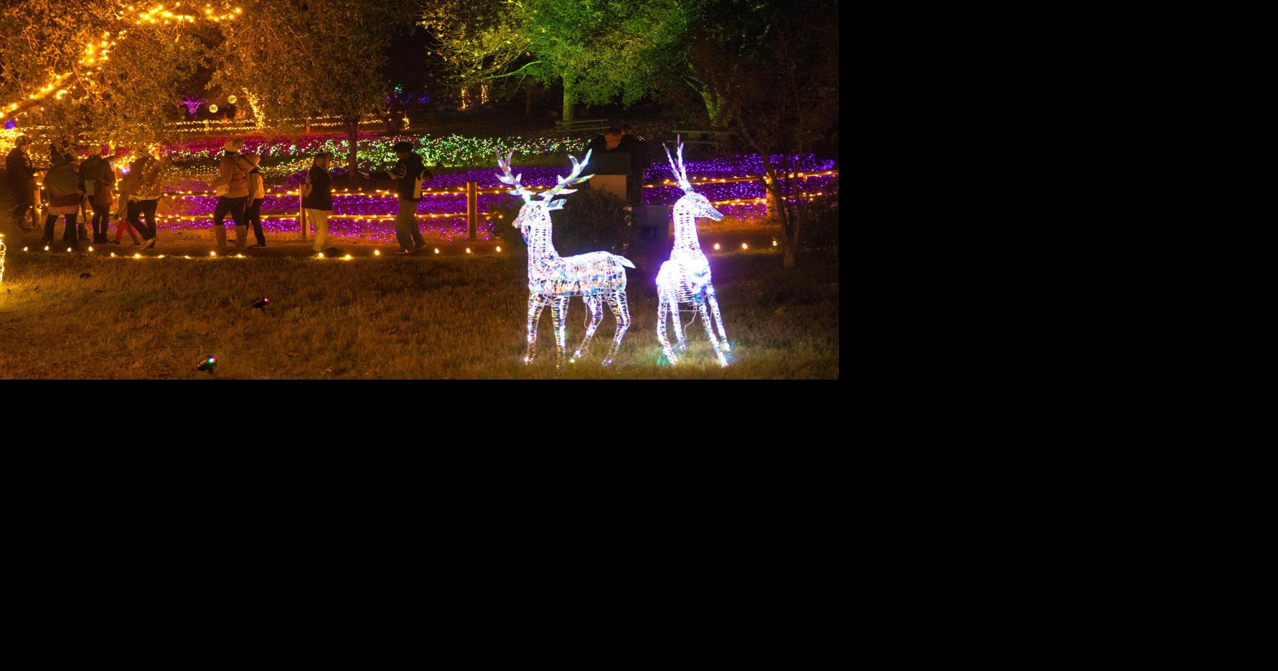 Buellton's inaugural Enchanted Garden Holiday Lights Tour concludes
