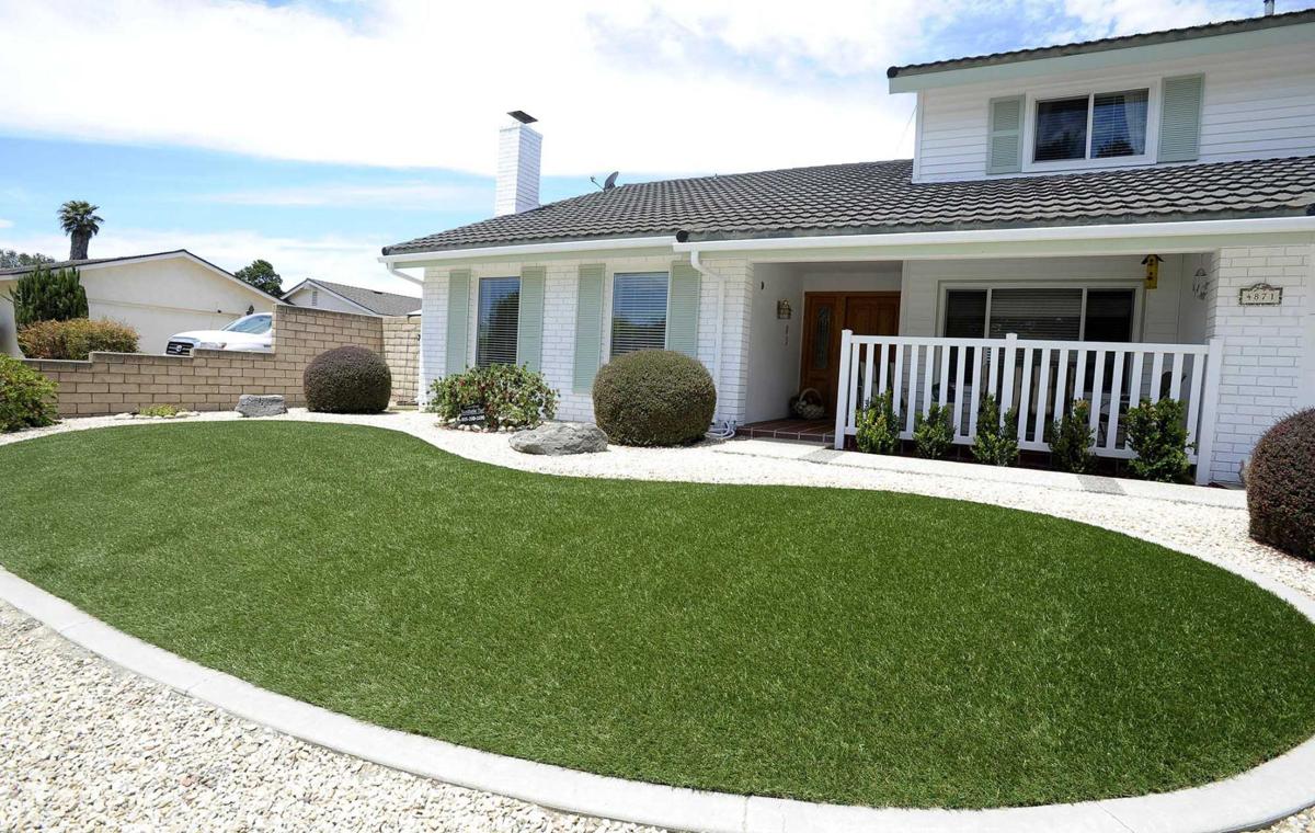 Drought Tolerant Lawns Pop Up As Means To Reduce Water Use Local News Santamariatimes Com