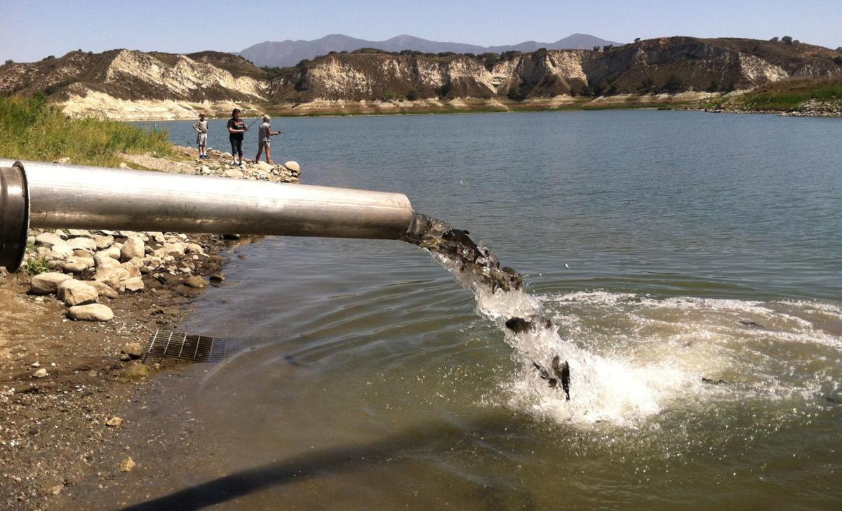 Season’s second trout plant made at Cachuma Lake as water level