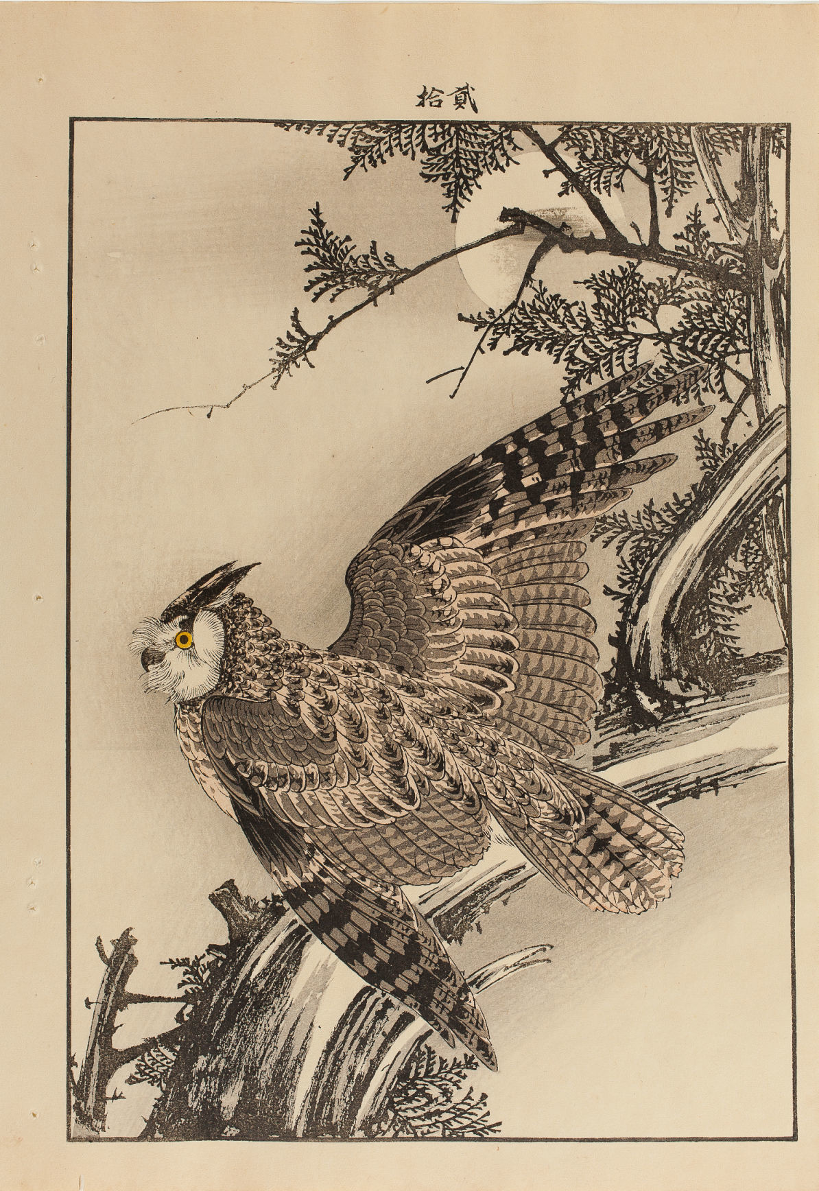 Santa Barbara Museum of Natural History opens new antique Japanese